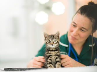 Bath Veterinary Group, Bath Cat Clinic
