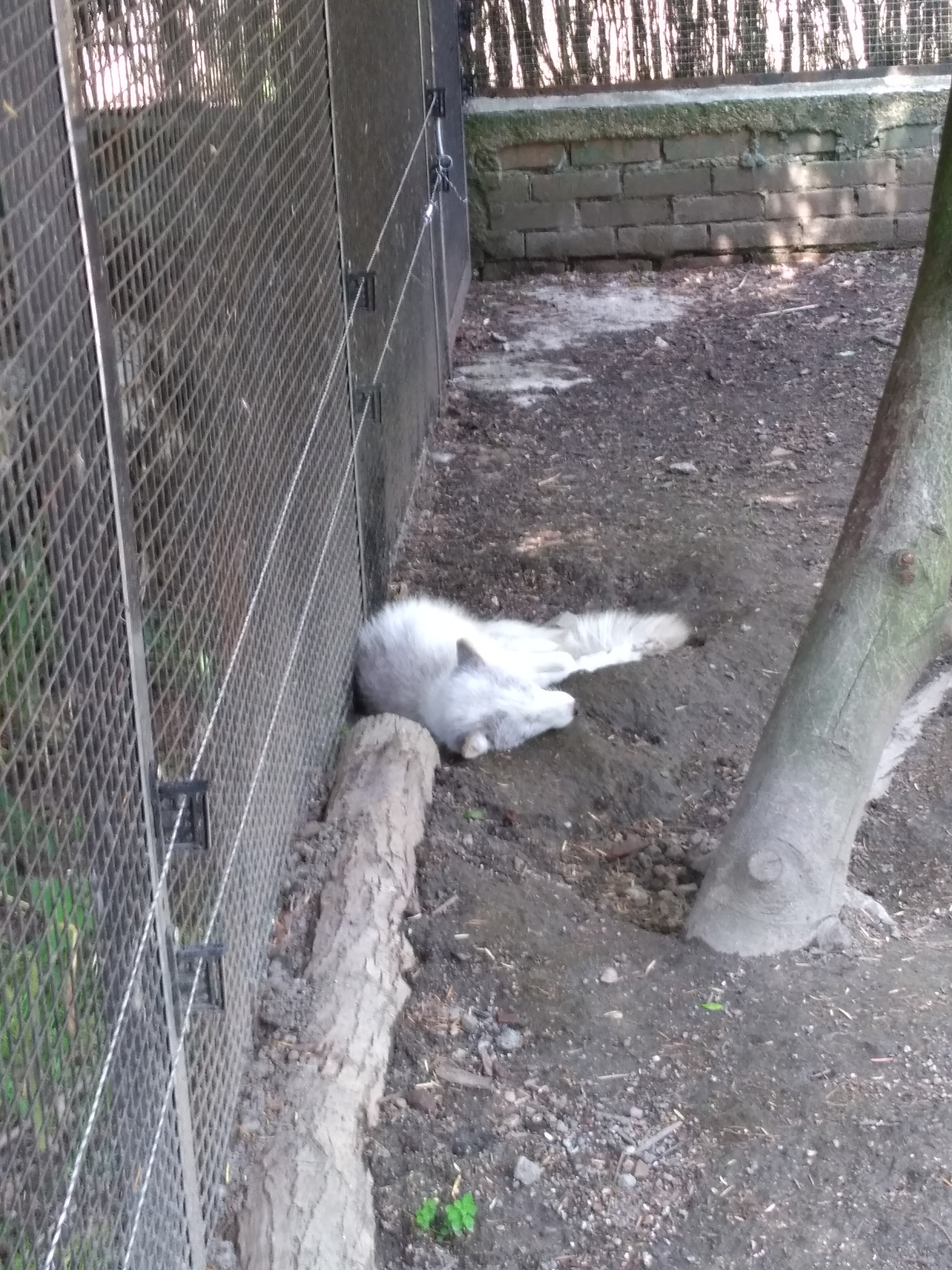 Photo n° 5 de l'avis de Antonin.r fait le 26/05/2018 à 15:29