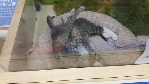 Pet Supply Store «PetSmart», reviews and photos, 11066 Pecan Park Blvd #315, Cedar Park, TX 78613, USA