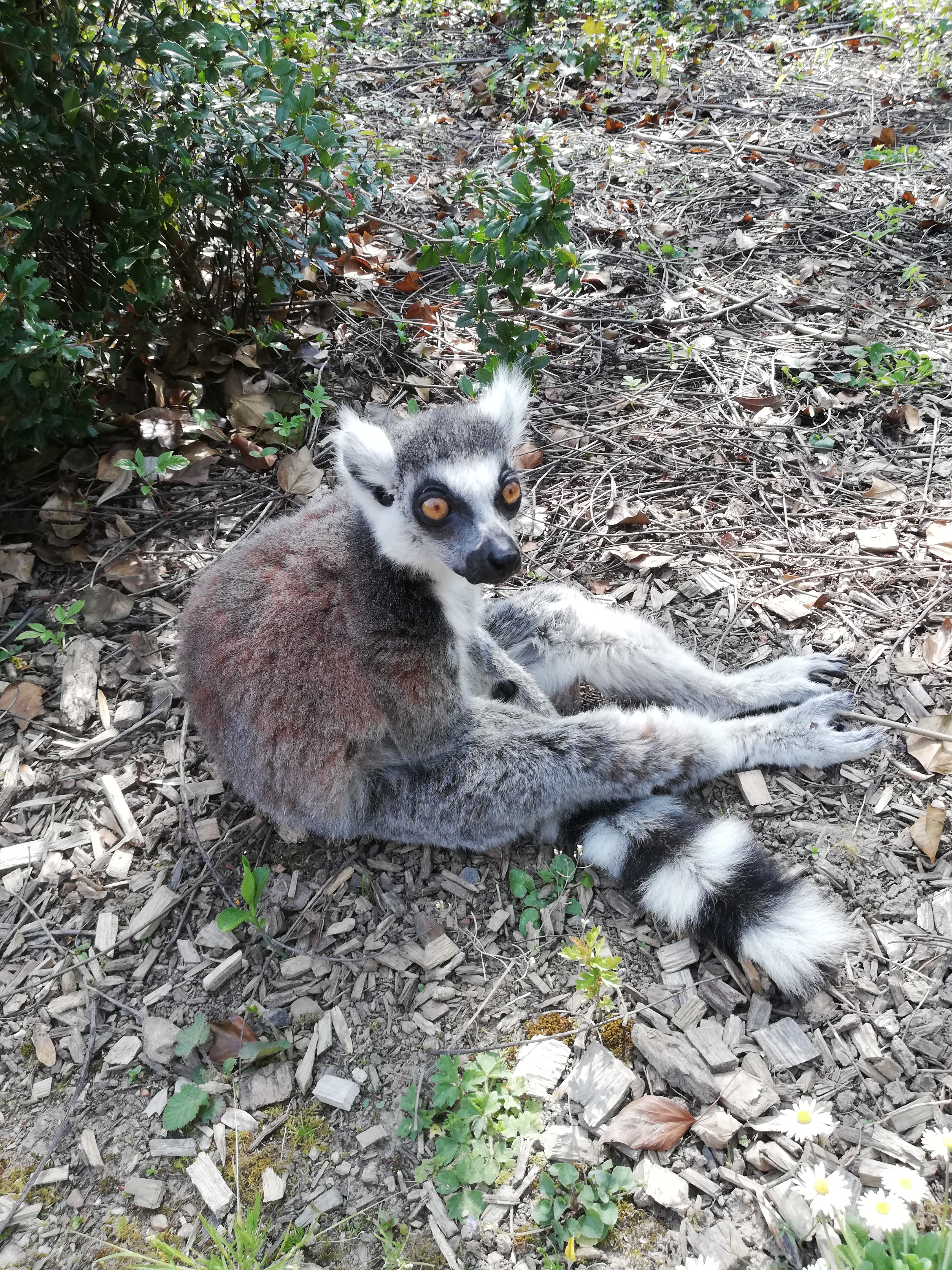 Photo n° 8 de l'avis de Jérôme.z fait le 21/04/2019 à 16:31