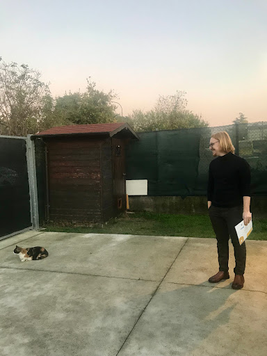 Pensioni per cani e dog hotel a Oasi Felina di Valsamoggia - A-mici miei