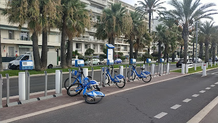 Station Vélo Bleu N° 90