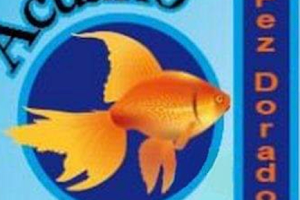 Goldfish Aquarium image
