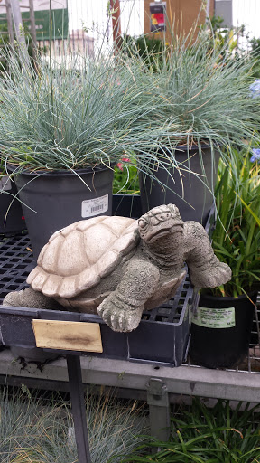 Hardware Store «Orchard Supply Hardware», reviews and photos, 19330 Hawthorne Blvd, Torrance, CA 90503, USA