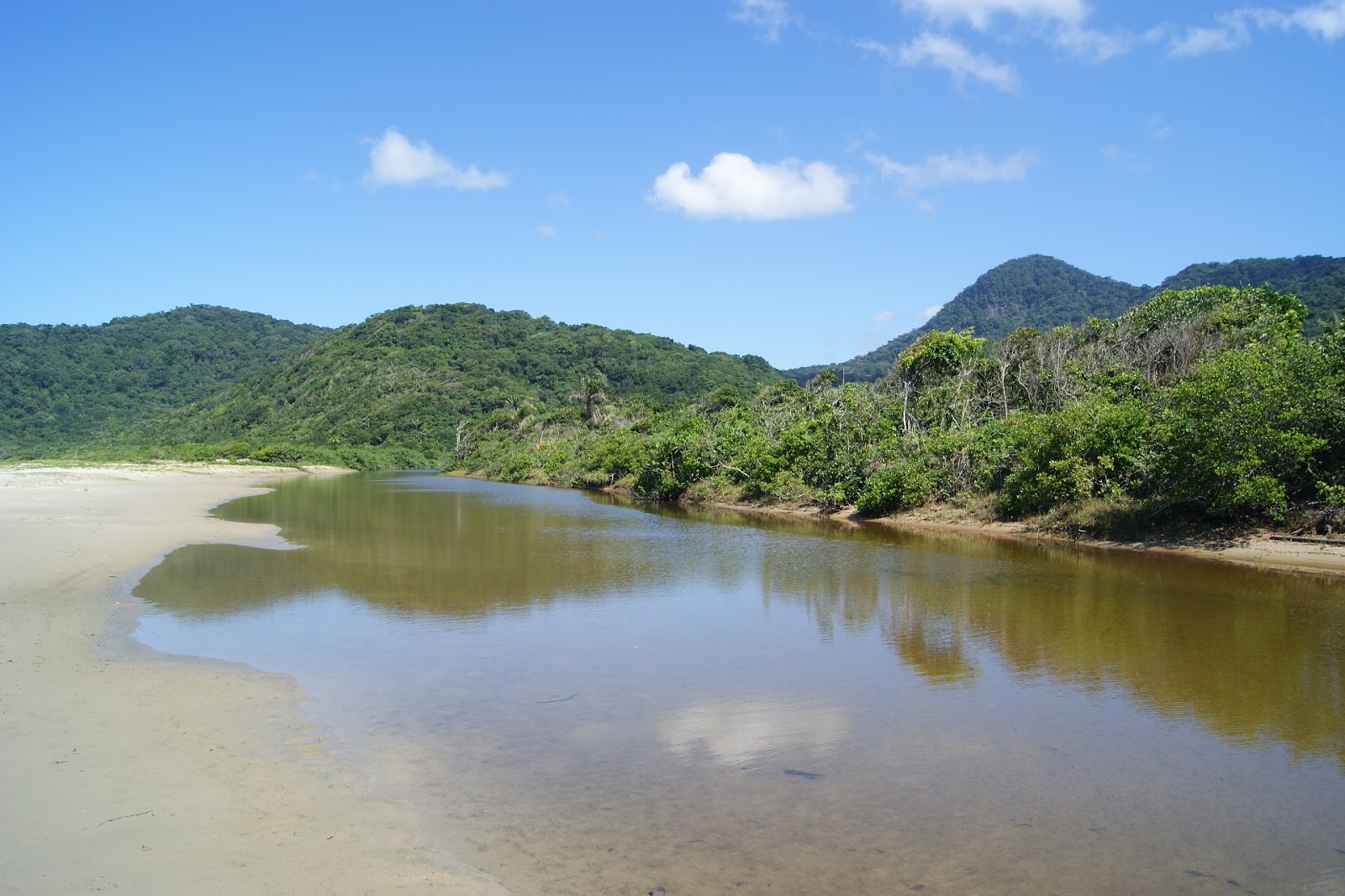 Foto de Playa de Juquiazinho ubicado en área natural