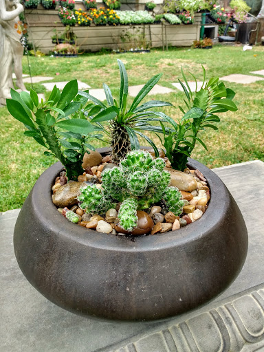 Florist «Tanglewood Flowers & Garden», reviews and photos, 5518 Dolores St, Houston, TX 77056, USA