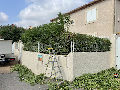 Nc élagage à Montpellier