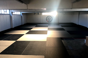 Combat Room Brazilian Jiu Jitsu Vanderson Pires image