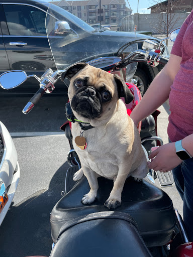 Motorcycle Dealer «SLC Powersports», reviews and photos, 940 Jewell Ave, Salt Lake City, UT 84104, USA