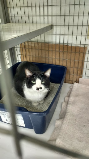 Pet Supply Store «Pet Supplies Plus», reviews and photos, 702 W Northland Ave, Appleton, WI 54914, USA