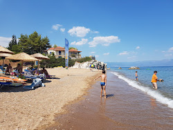 Turtle beach'in fotoğrafı çok temiz temizlik seviyesi ile