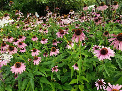 Nature Preserve «Wolf Creek Environmental Center», reviews and photos, 6100 Ridge Rd, Wadsworth, OH 44281, USA