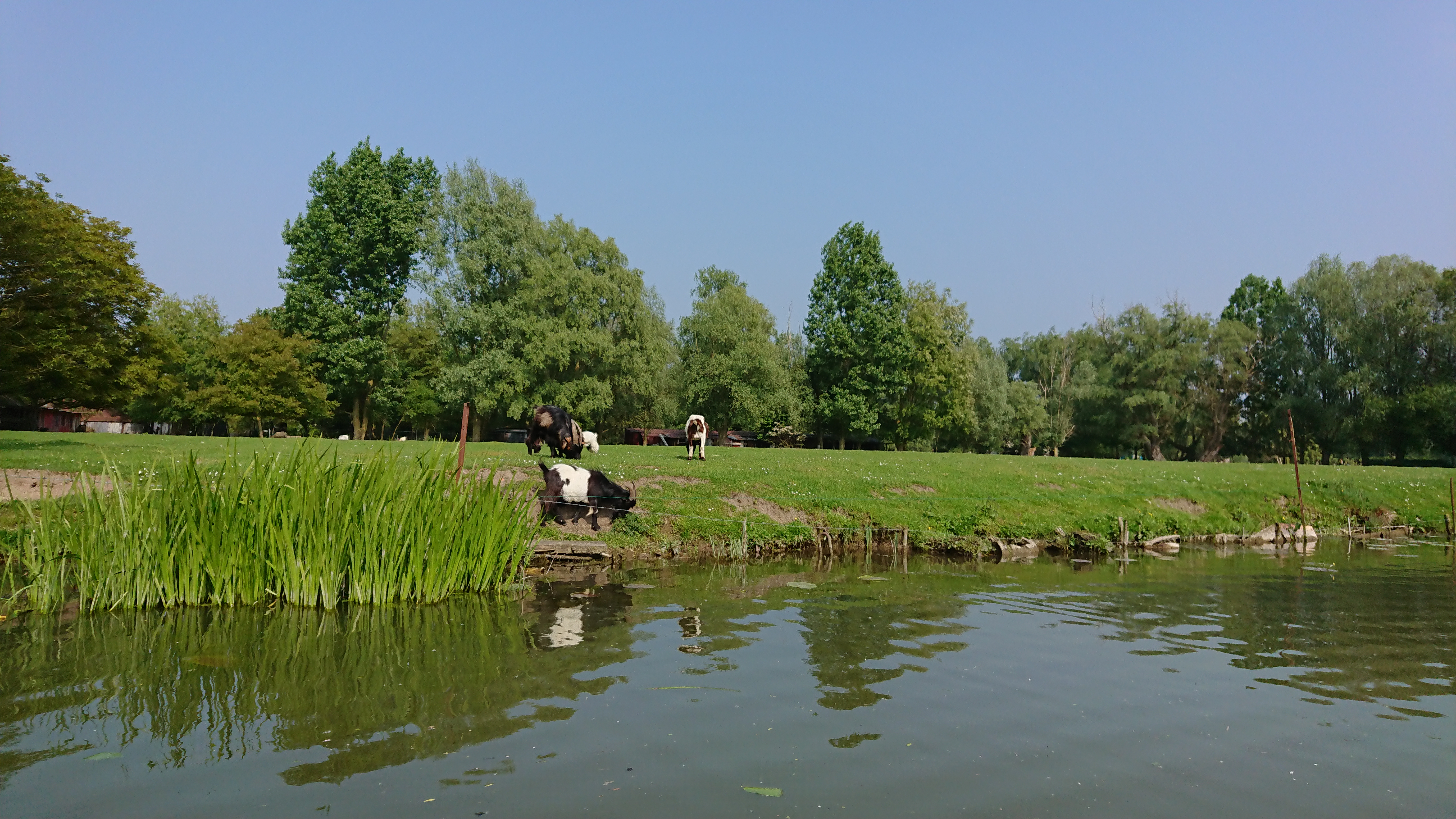 Photo n° 44 de l'avis de Perso.e fait le 20/05/2018 à 16:43