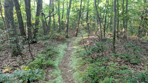 Nature Preserve «Edwin and Gertrude Grace Nature Preserve», reviews and photos, 24 Westbrook Ct, Greenlawn, NY 11740, USA