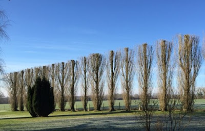 Accro-jardins à Perrigny