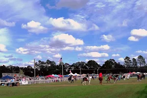 Bruce's Field at Aiken Horse Park image