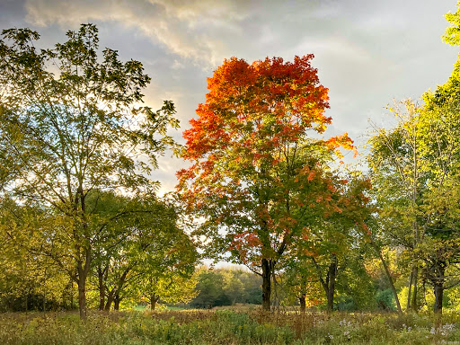 Golf Course «Dretzka Park Golf Course», reviews and photos, 12020 W Bradley Rd, Milwaukee, WI 53224, USA