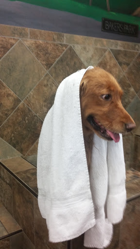 Pet Supply Store «Pet Valu», reviews and photos, 1305 West Seventh Street #28, Frederick, MD 21702, USA