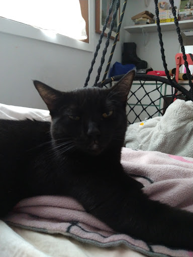 Home Improvement Store «The Home Depot», reviews and photos, 3220 Denmark Ave, Eagan, MN 55121, USA