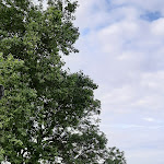 Photo n°20 de l'avis de Bianca.i fait le 11/08/2021 à 20:38 sur le  Haus Rheinblick Familie Ott à Monheim am Rhein