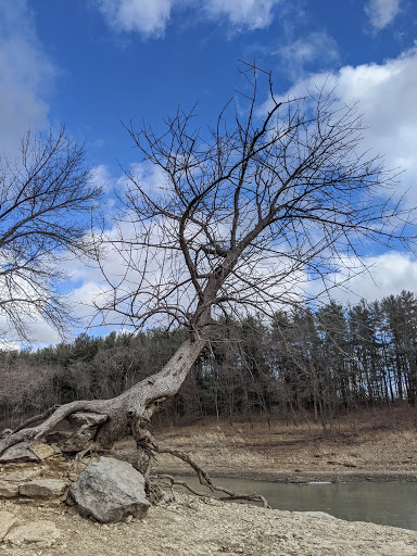 Nature Preserve «Iowa Raptor Center», reviews and photos, 2095 Mehaffey Bridge Rd NE, Solon, IA 52333, USA