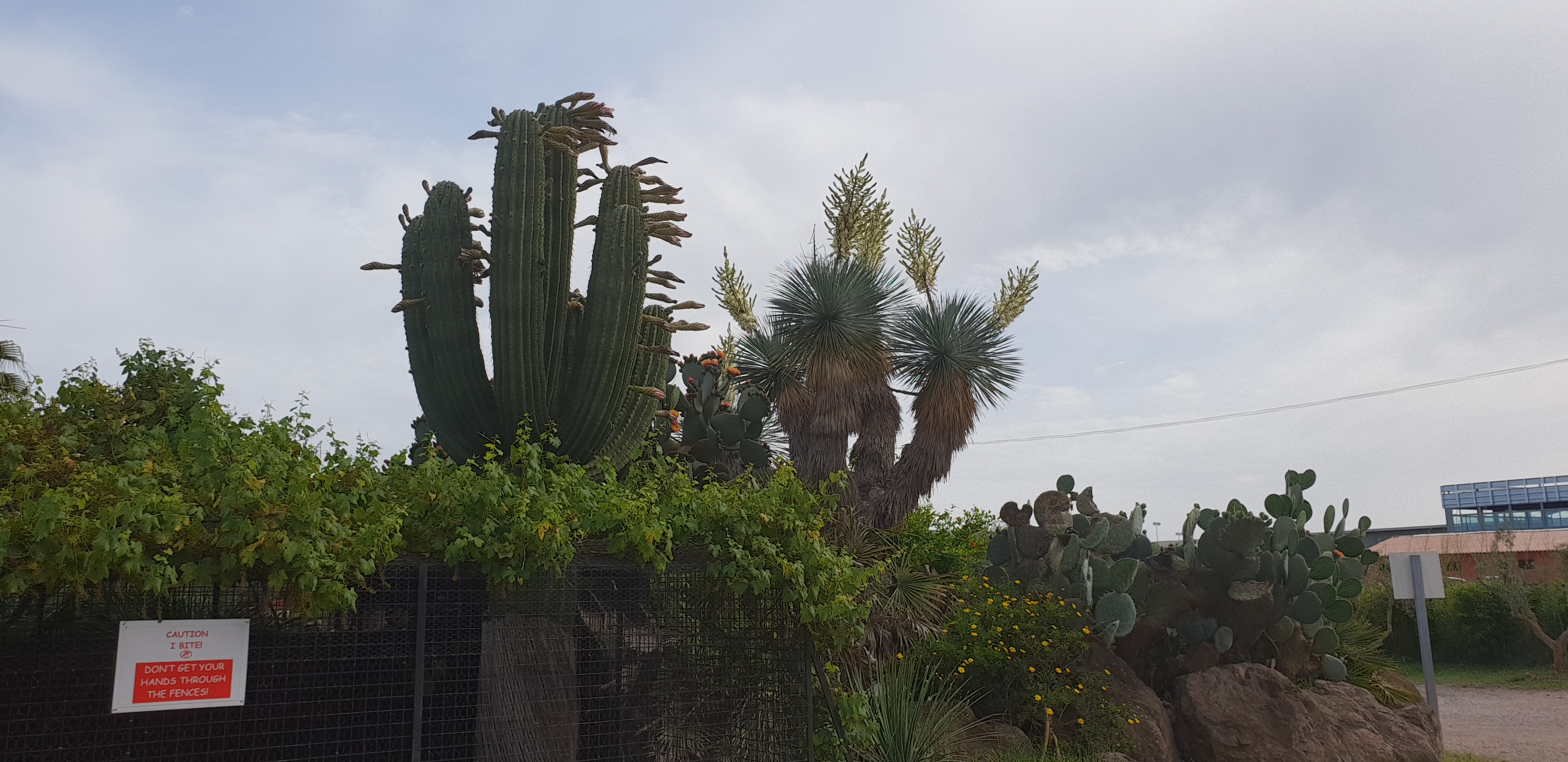 Photo n° 19 de l'avis de Anthony. fait le 11/06/2018 à 14:44