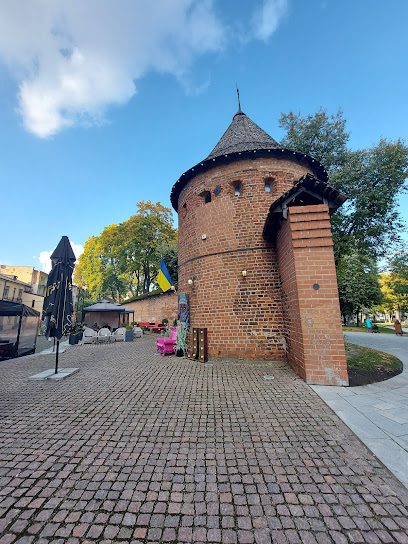 Kauno miesto gynybinė siena