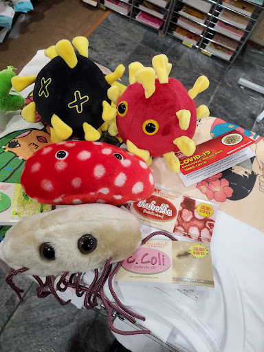 Gift Shop «Kawaii Gifts», reviews and photos, 5413 Walnut St, Pittsburgh, PA 15232, USA