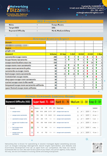 SEO Website Design Pasadena Networking Bizz image