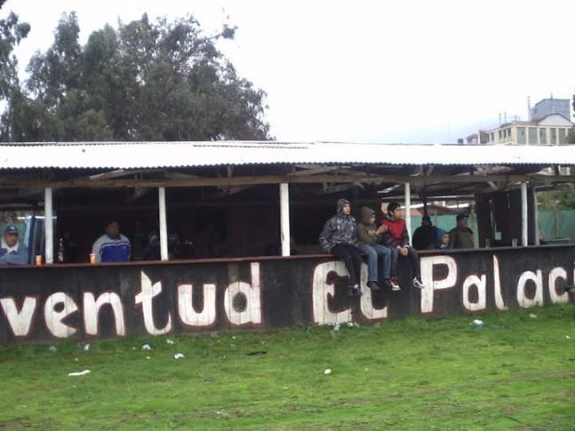 Opiniones de Cancha Club Juventud El Palacio en Limache - Campo de fútbol