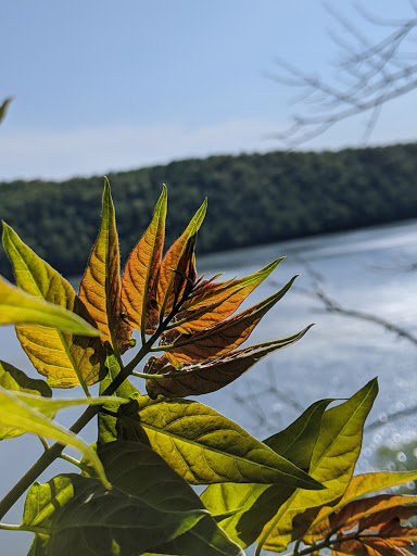 Nature Preserve «Turkey Hill Overlook Trail», reviews and photos, River Rd, Conestoga, PA 17516, USA