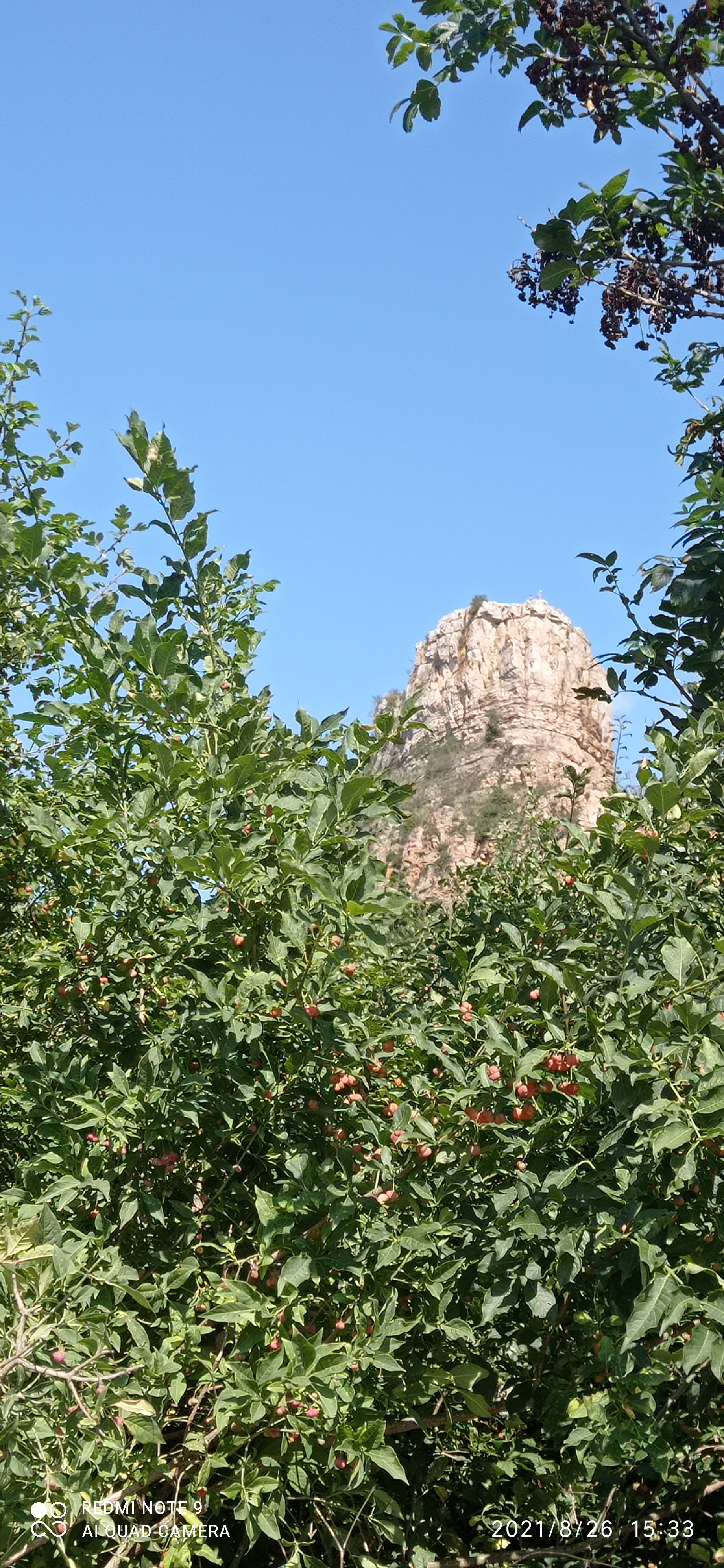 Photo n° 2 de l'avis de jean.i fait le 26/08/2021 à 13:48
