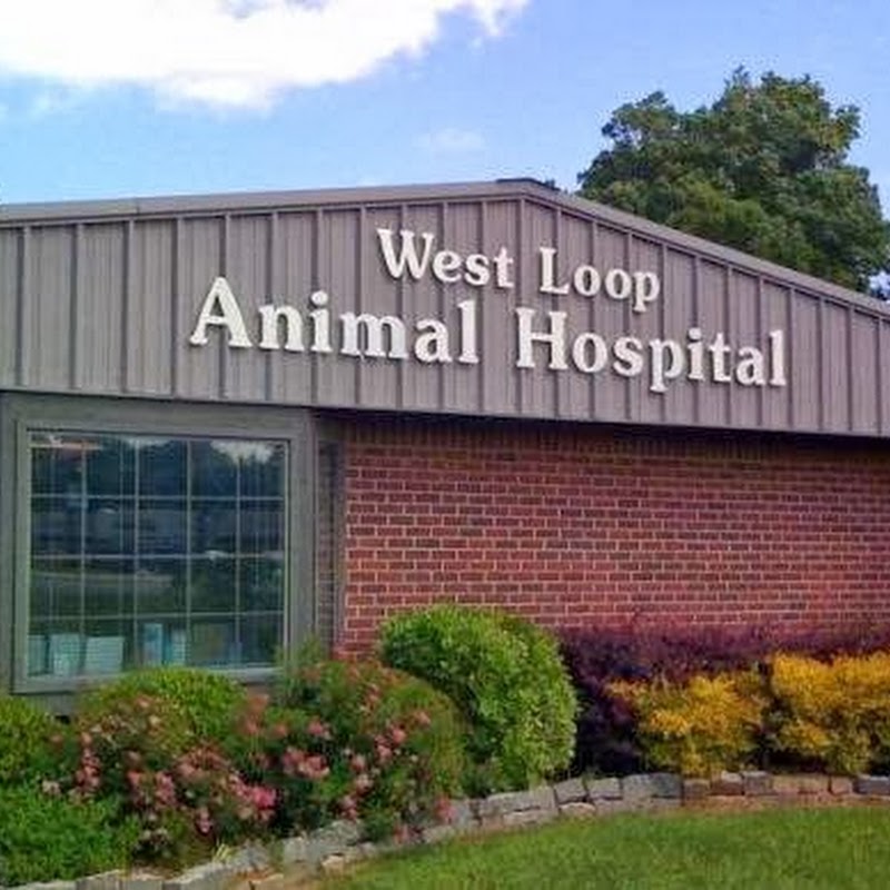 West Loop Animal Hospital