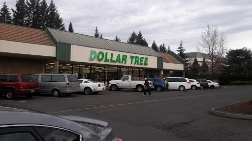 Dollar Store «Dollar Tree», reviews and photos, 36911 Mt Hood Hwy, Sandy, OR 97055, USA