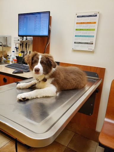 Pet Supply Store «PetSmart», reviews and photos, 15134 Crossroads Pkwy, Gulfport, MS 39503, USA