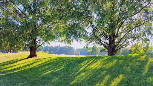 Golf Course «Langdon Farms Golf Club», reviews and photos, 24377 Airport Rd NE #1, Aurora, OR 97002, USA