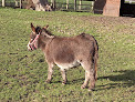 The Old Rectory Farm - Sheldon Country Park