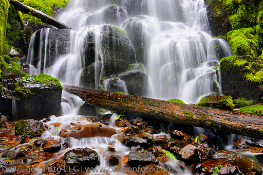 Tourist Attraction «Fairy Falls», reviews and photos, Wahkeena Trail #420, Corbett, OR 97019, USA