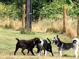 Marsden Valley Dog Park