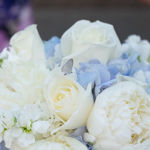 Florist «Flower Fantasy», reviews and photos, 8321 W Lawrence Ave, Norridge, IL 60706, USA