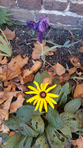 Museum «Heyward-Washington House», reviews and photos, 87 Church St, Charleston, SC 29403, USA