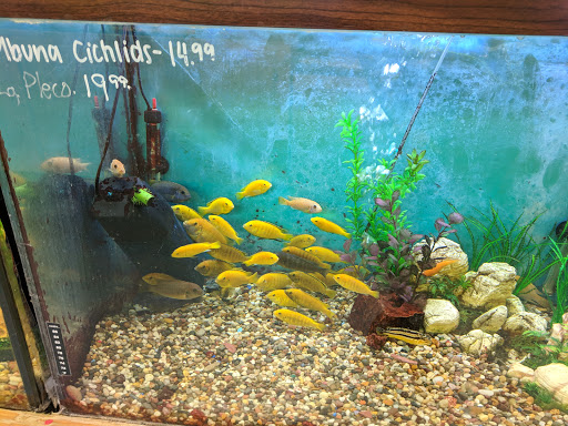 Aquarium «Greentree Pet Center», reviews and photos, 1604 Greentree Blvd, Clarksville, IN 47129, USA