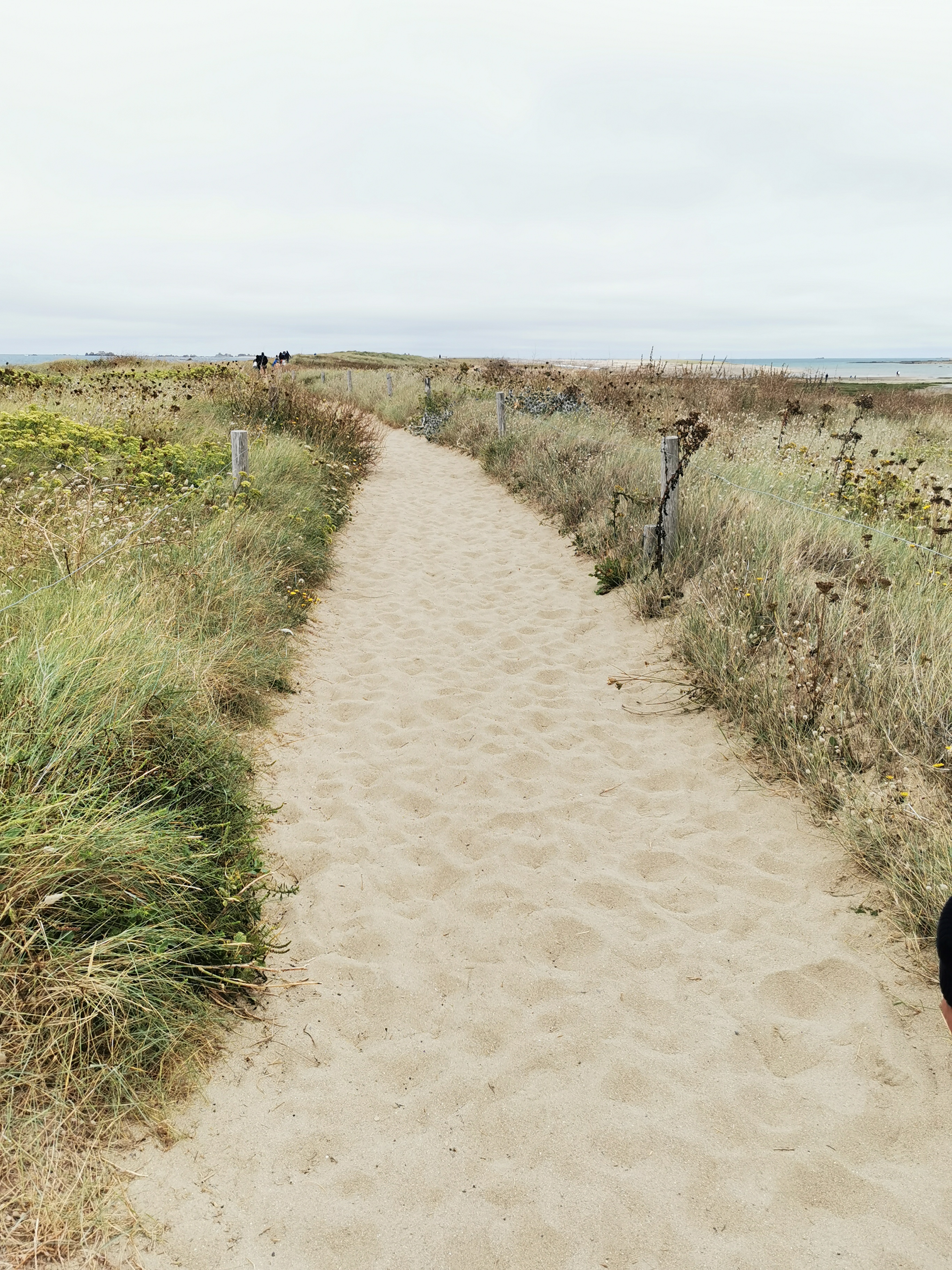 Photo n° 2 de l'avis de Christelle.a fait le 18/08/2021 à 16:42