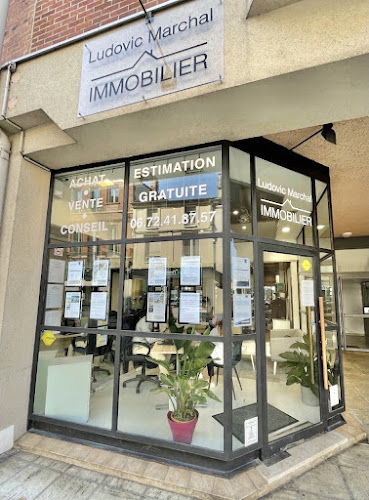 Agence immobilière Ludovic Marchal Immobilier Épernay