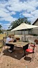 Swan Sanctuary Cafe Logo, Coomunga, Australia, Cafe