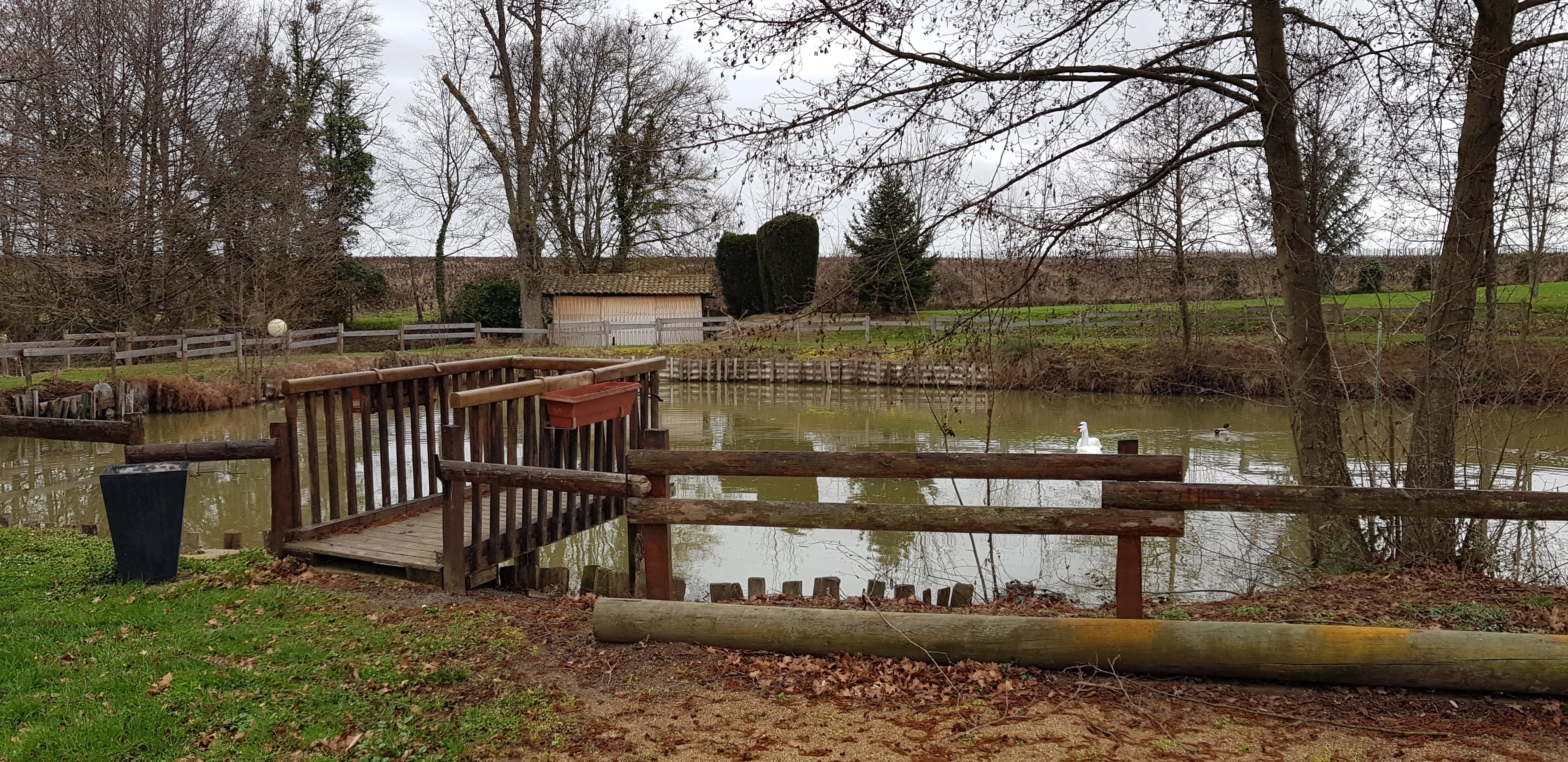 Photo n° 4 de l'avis de migliorini.a fait le 16/04/2019 à 15:51