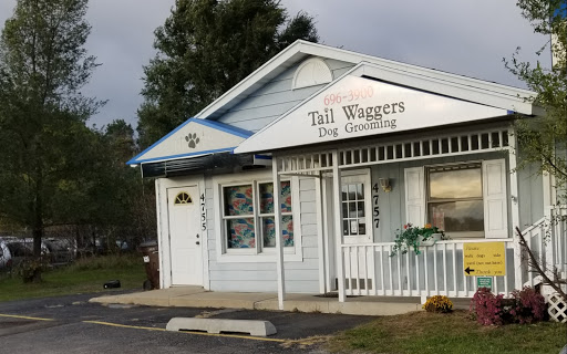 Tail Waggers Dog Grooming