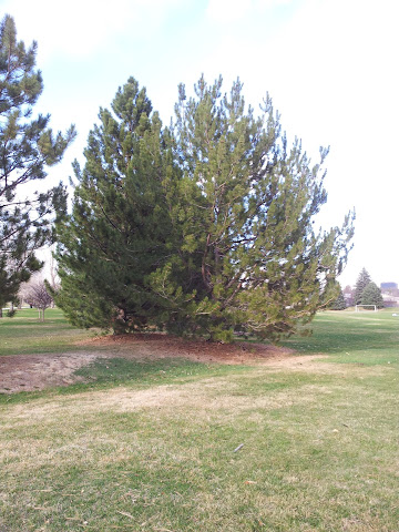 Hampden Heights Park by null