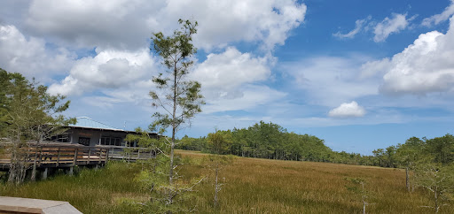 Nature Preserve «Grassy Waters Preserve», reviews and photos, 8264 Northlake Blvd, West Palm Beach, FL 33412, USA