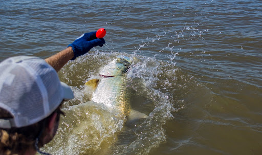 Fishing Charter «Carolina Guide Service - Fishing Charters», reviews and photos, 169 Windover Dr, Pawleys Island, SC 29585, USA